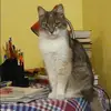 Отзыв от Карина Туманова